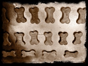 Gingerbread Bones
